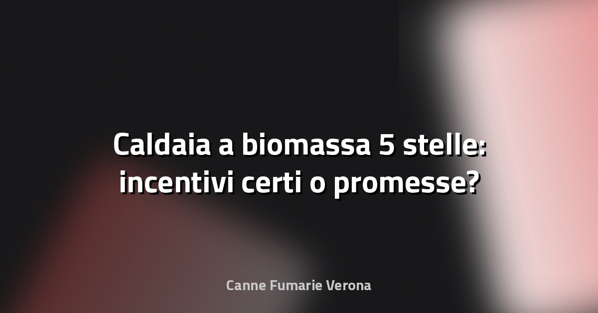 🔥 Caldaia a biomassa 5 stelle: incentivi certi o promesse?