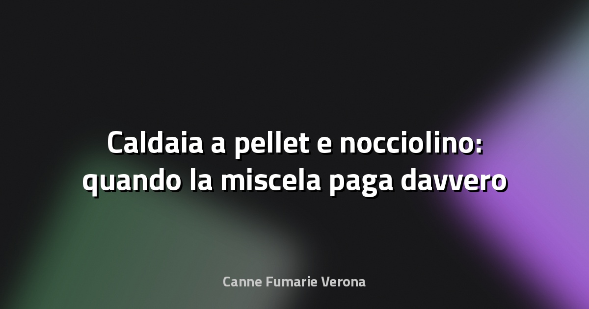 🔥 Caldaia a pellet e nocciolino: quando la miscela paga davvero