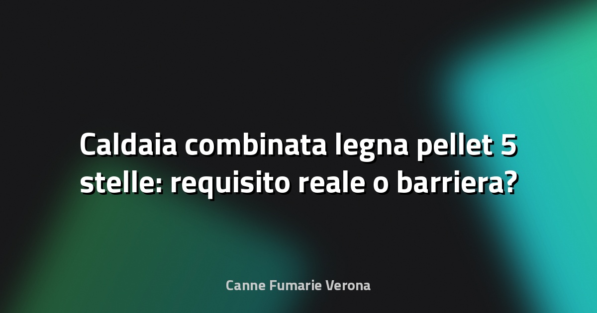 🔥 Caldaia combinata legna pellet 5 stelle: requisito reale o barriera?