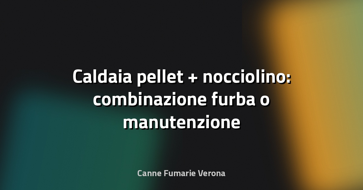 🔥 Caldaia pellet + nocciolino: combinazione furba o manutenzione doppia?