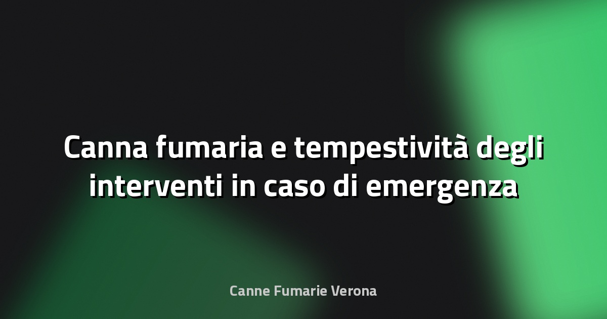 🔥 Canna fumaria e tempestività degli interventi in caso di emergenza