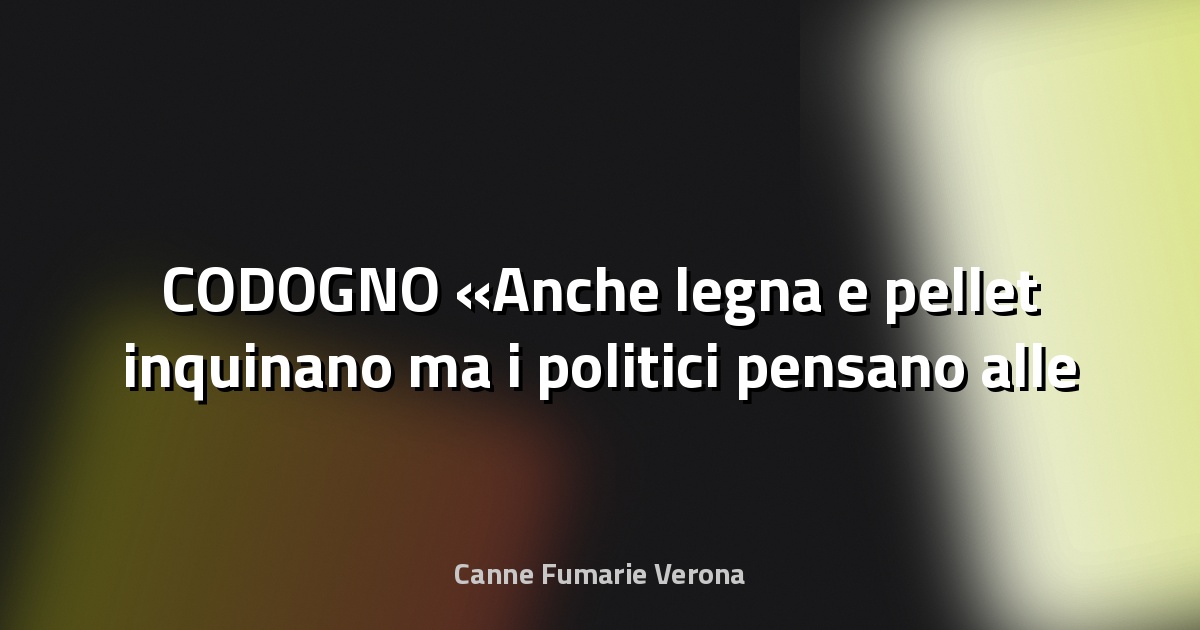 🔥 CODOGNO «Anche legna e pellet inquinano ma i politici pensano alle auto» - Il Cittadino di Lodi