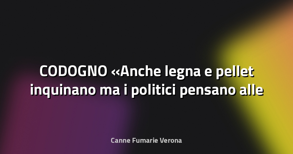 🌍 CODOGNO «Anche legna e pellet inquinano ma i politici pensano alle auto» - Il Cittadino di Lodi