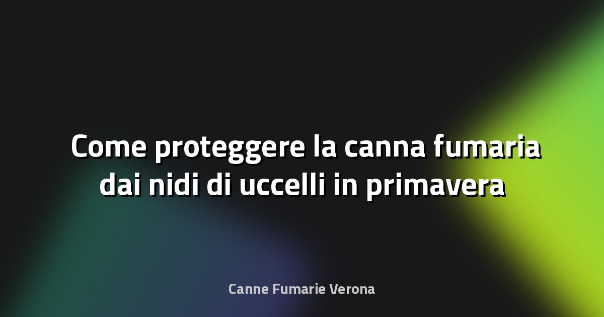 🛡️ Come proteggere la canna fumaria dai nidi di uccelli in primavera