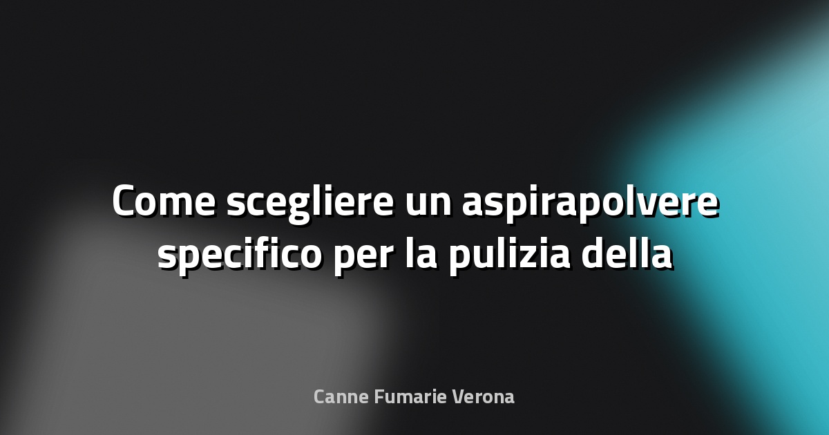 🧹 Come scegliere un aspirapolvere specifico per la pulizia della canna fumaria