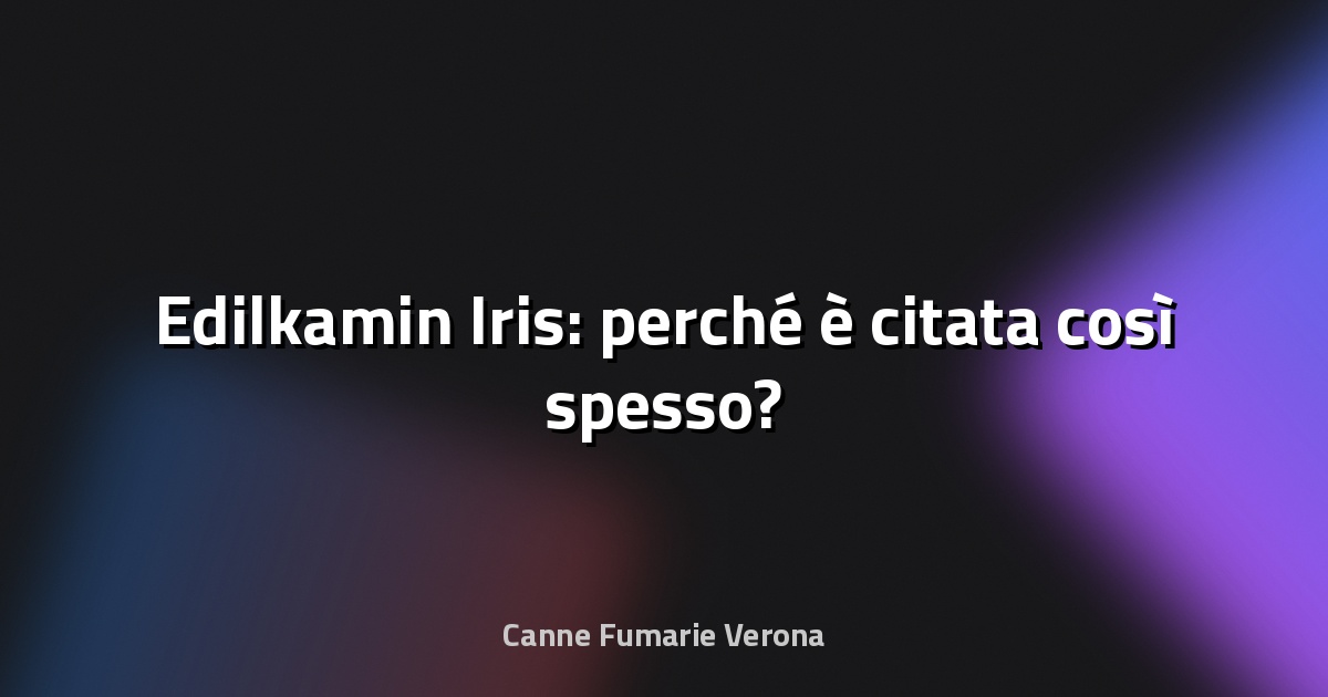 🔥 Edilkamin Iris: perché è citata così spesso?