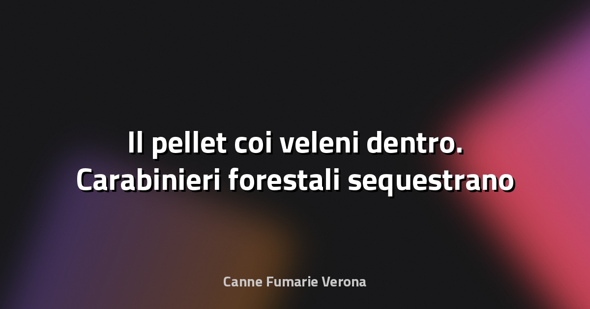 🔥 Il pellet coi veleni dentro. Carabinieri forestali sequestrano 22 tonnellate con tracce di formaldeide - Il Resto del Carlino