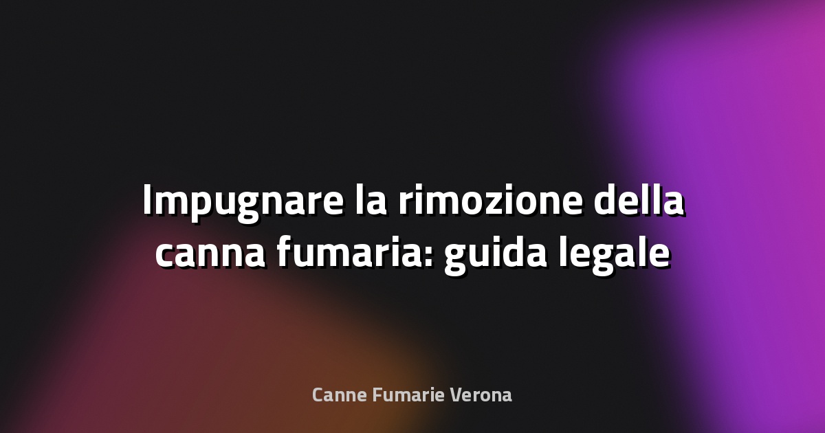 🔥 Impugnare la rimozione della canna fumaria: guida legale
