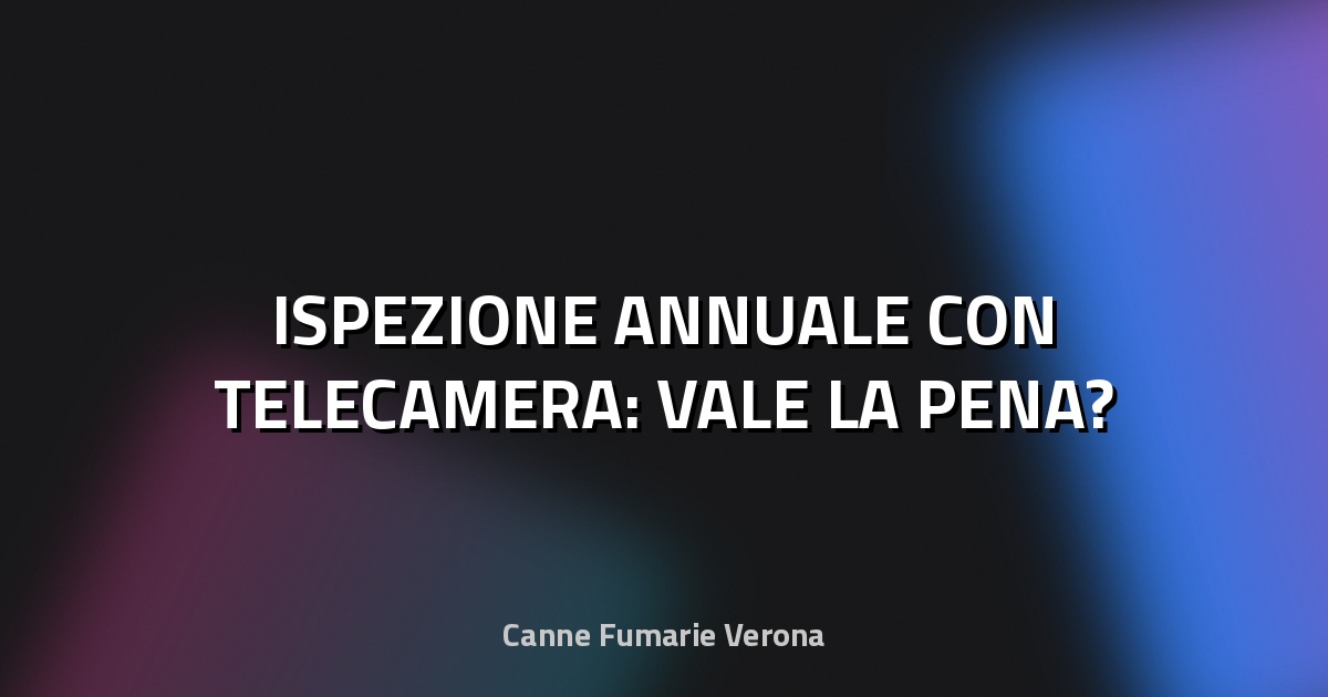 🔍 ISPEZIONE ANNUALE CON TELECAMERA: VALE LA PENA?
