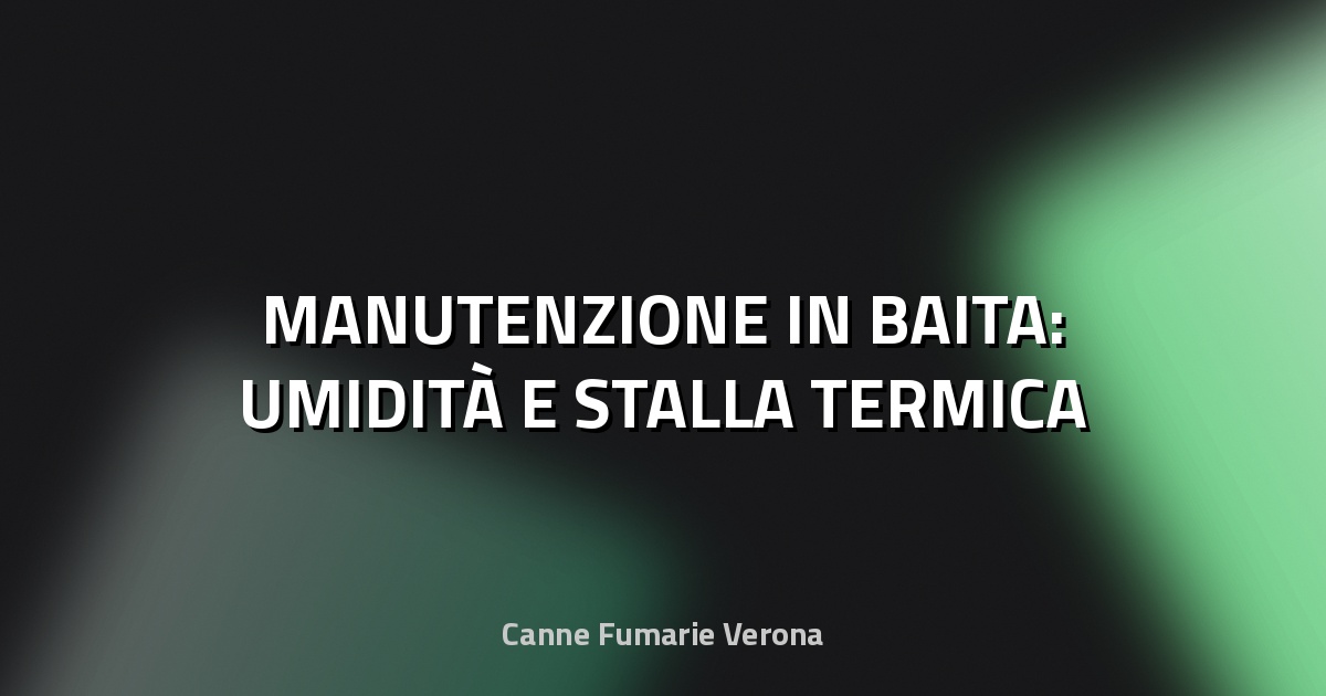 🔥 MANUTENZIONE IN BAITA: UMIDITÀ E STALLA TERMICA
