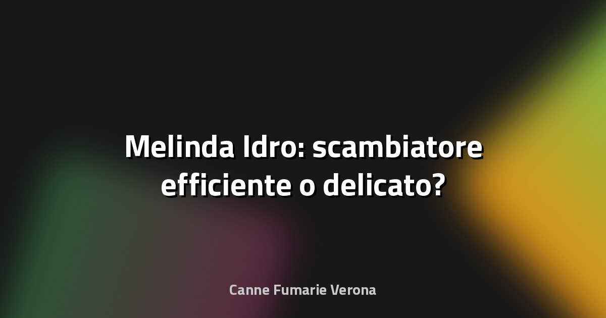 🔥 Melinda Idro: scambiatore efficiente o delicato?