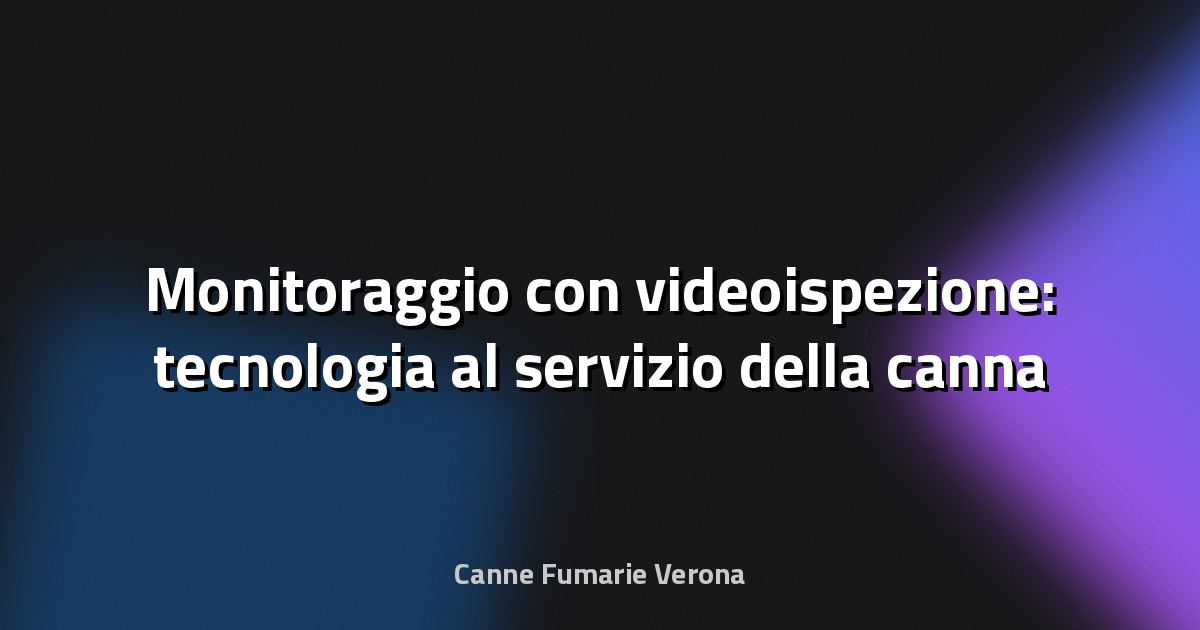 🔍 Monitoraggio con videoispezione: tecnologia al servizio della canna fumaria