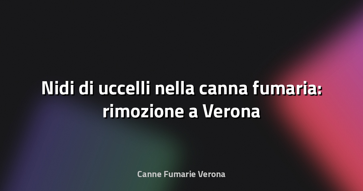 🪹 Nidi di uccelli nella canna fumaria: rimozione a Verona