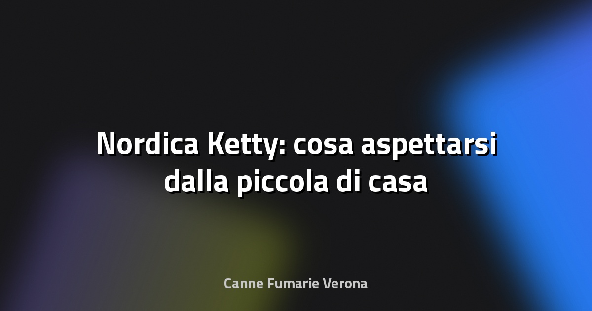 🔥 Nordica Ketty: cosa aspettarsi dalla piccola di casa