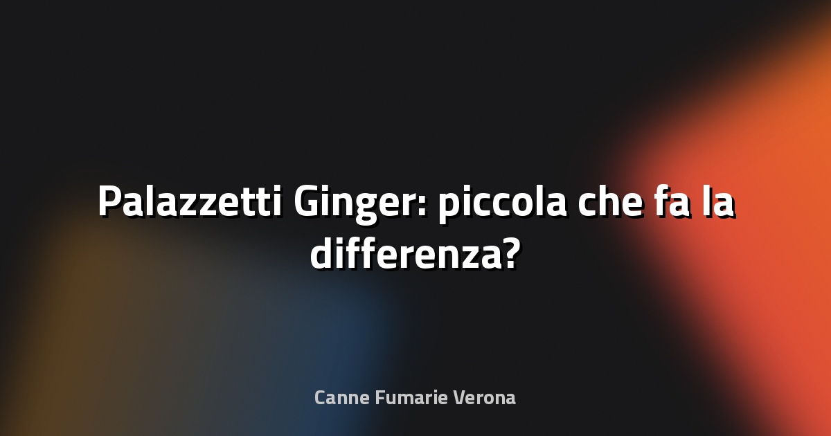 🔥 Palazzetti Ginger: piccola che fa la differenza?
