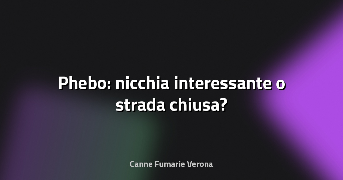 🔥 Phebo: nicchia interessante o strada chiusa?