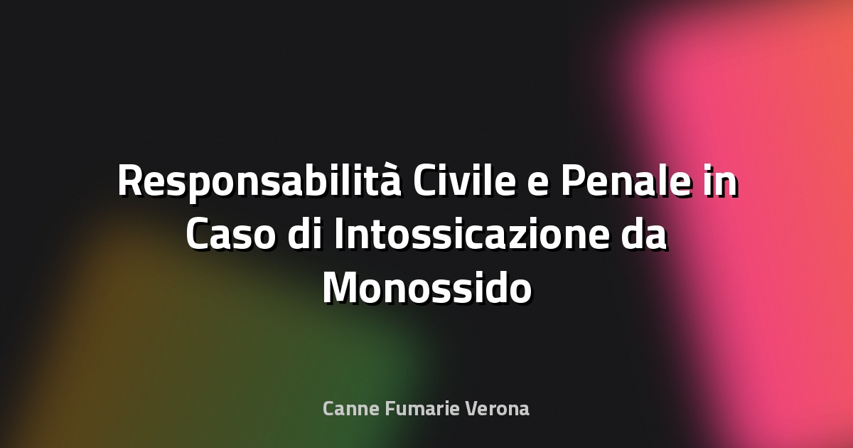 Responsabilità Civile e Penale in Caso di Intossicazione da Monossido