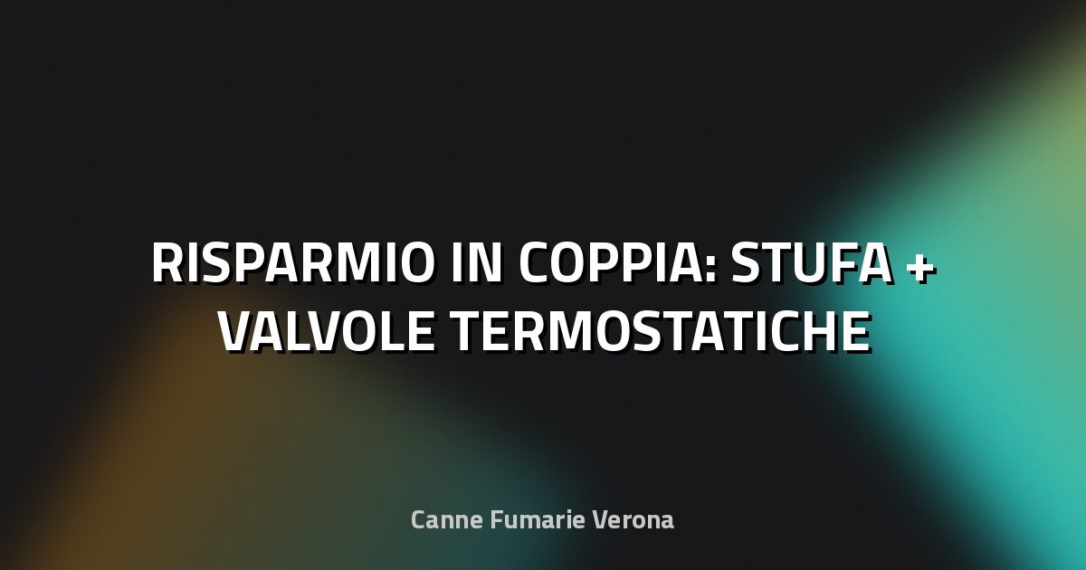 🔥 RISPARMIO IN COPPIA: STUFA + VALVOLE TERMOSTATICHE