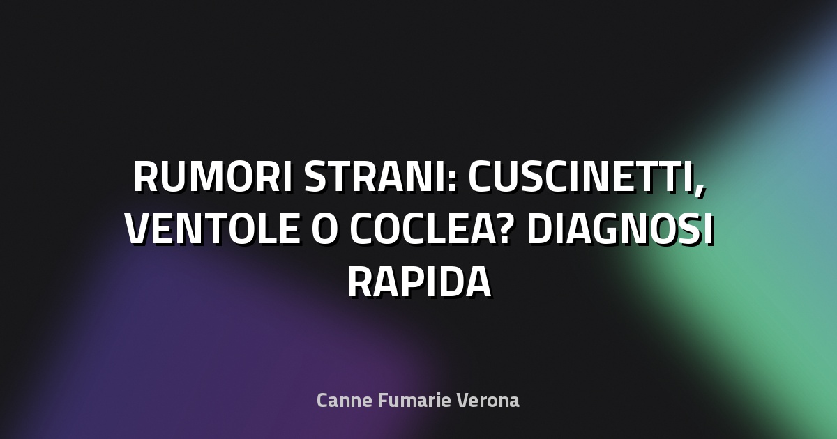 🔧 RUMORI STRANI: CUSCINETTI, VENTOLE O COCLEA? DIAGNOSI RAPIDA