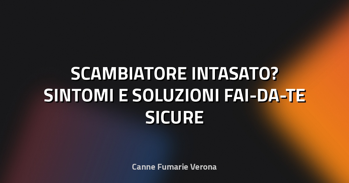 🔥 SCAMBIATORE INTASATO? SINTOMI E SOLUZIONI FAI-DA-TE SICURE