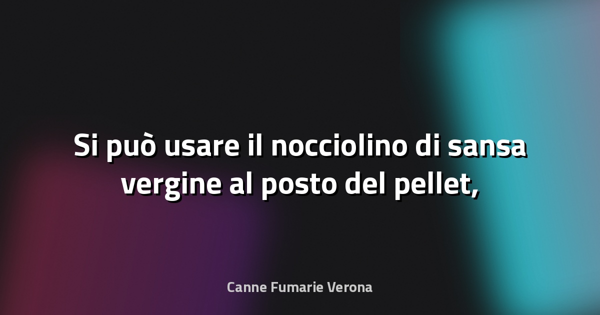🔥 Si può usare il nocciolino di sansa vergine al posto del pellet, ecco come - greenMe