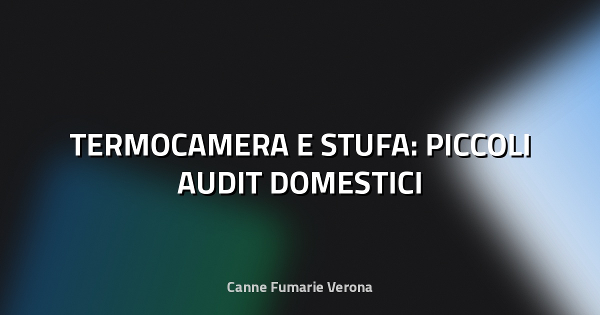 🔥 TERMOCAMERA E STUFA: PICCOLI AUDIT DOMESTICI