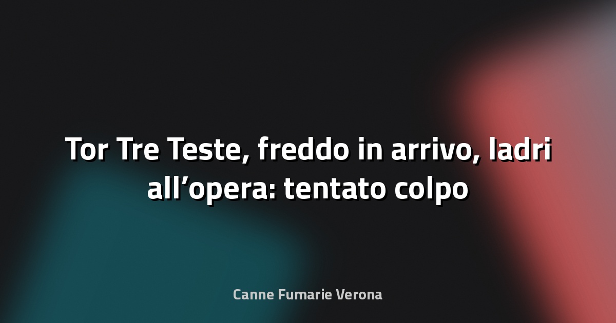 🔥 Tor Tre Teste, freddo in arrivo, ladri all’opera: tentato colpo alle stufe a pellet di Tecnomat - Abitare A Roma