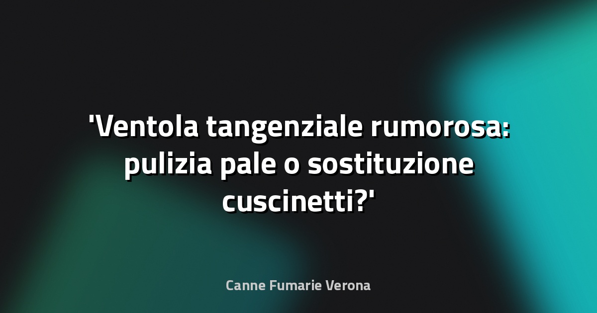Ventola tangenziale rumorosa: pulizia pale o sostituzione cuscinetti?