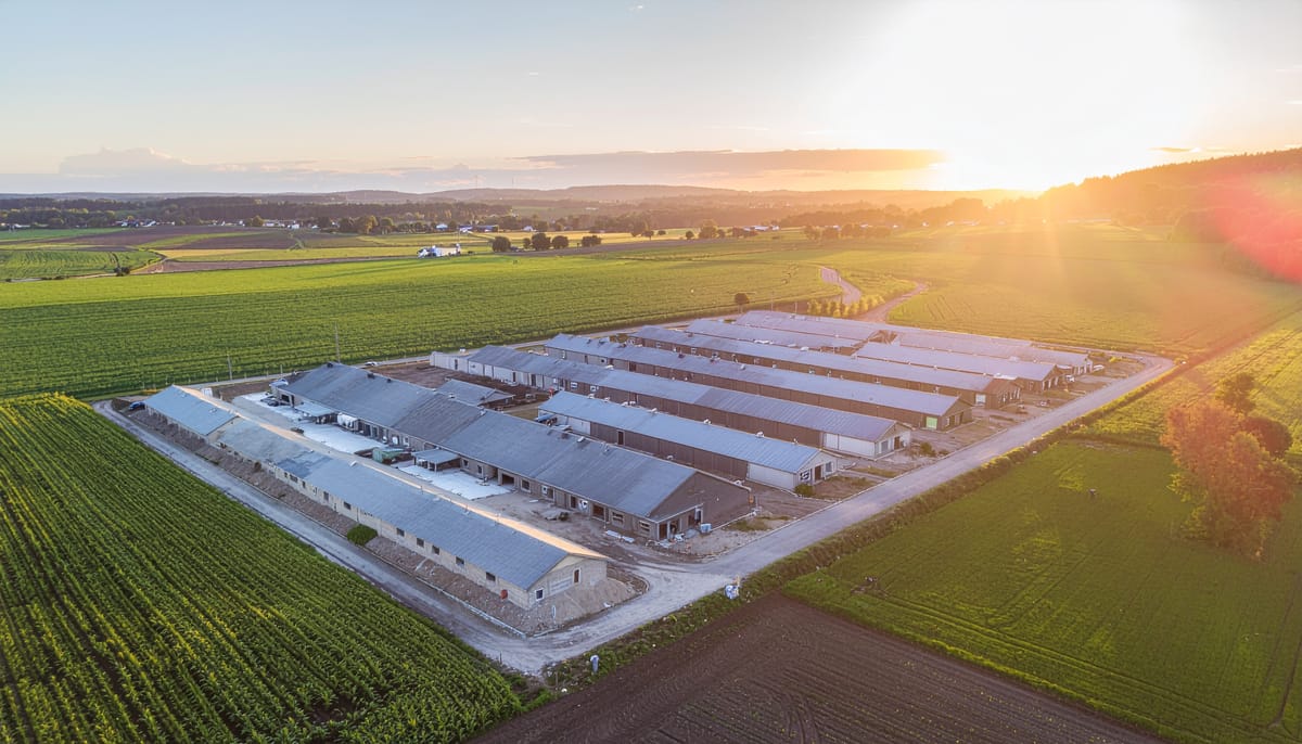 🛠️ Case study: bonifica eternit rurale senza stop riscaldamento