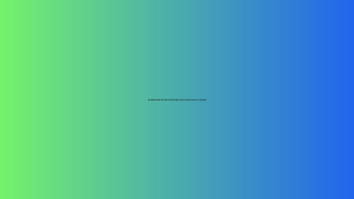 🔥 SCAMBIATORE INTASATO? SINTOMI E SOLUZIONI FAI-DA-TE SICURE