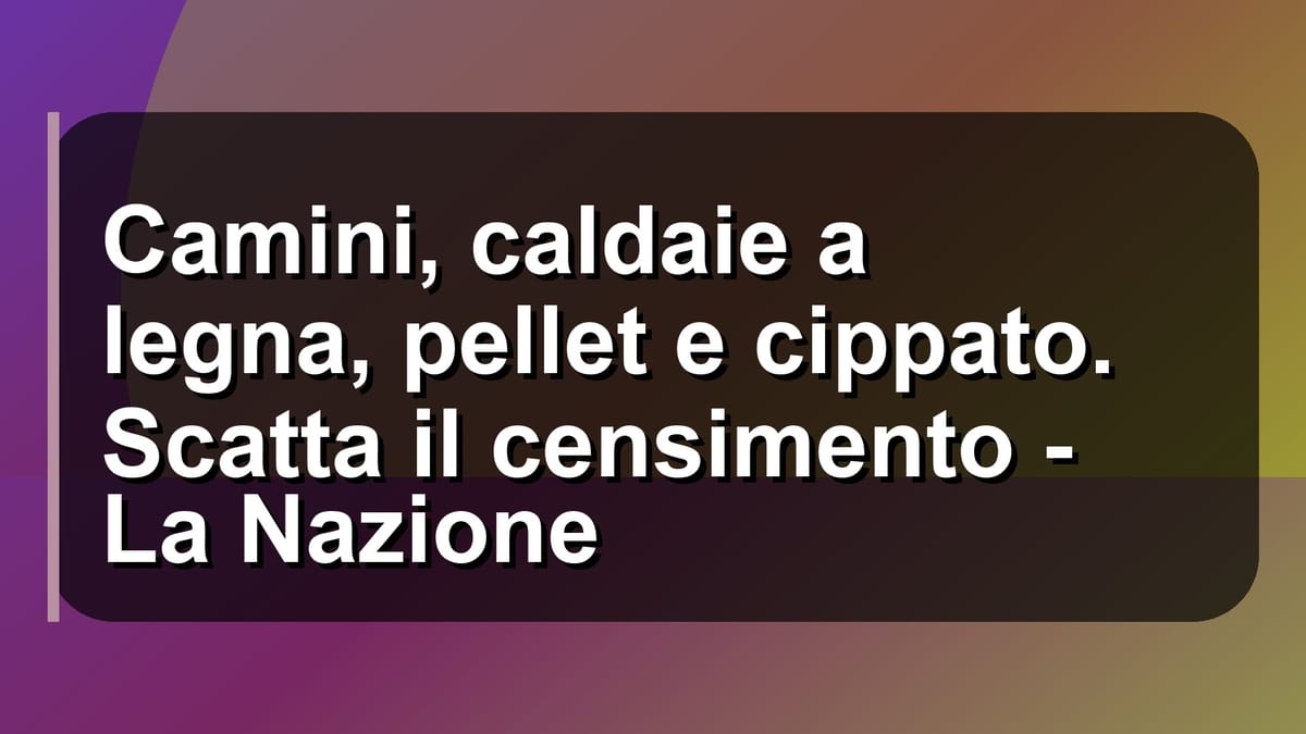 🔥 Camini, caldaie a legna, pellet e cippato. Scatta il censimento - La Nazione