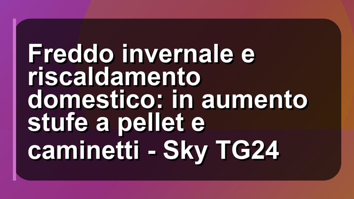 ❄️ Freddo invernale e riscaldamento domestico: in aumento stufe a pellet e caminetti - Sky TG24