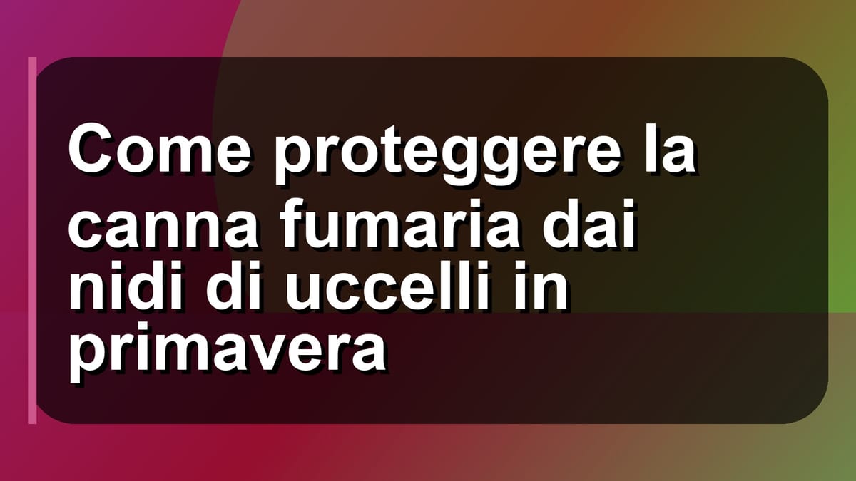 🛡️ Come proteggere la canna fumaria dai nidi di uccelli in primavera