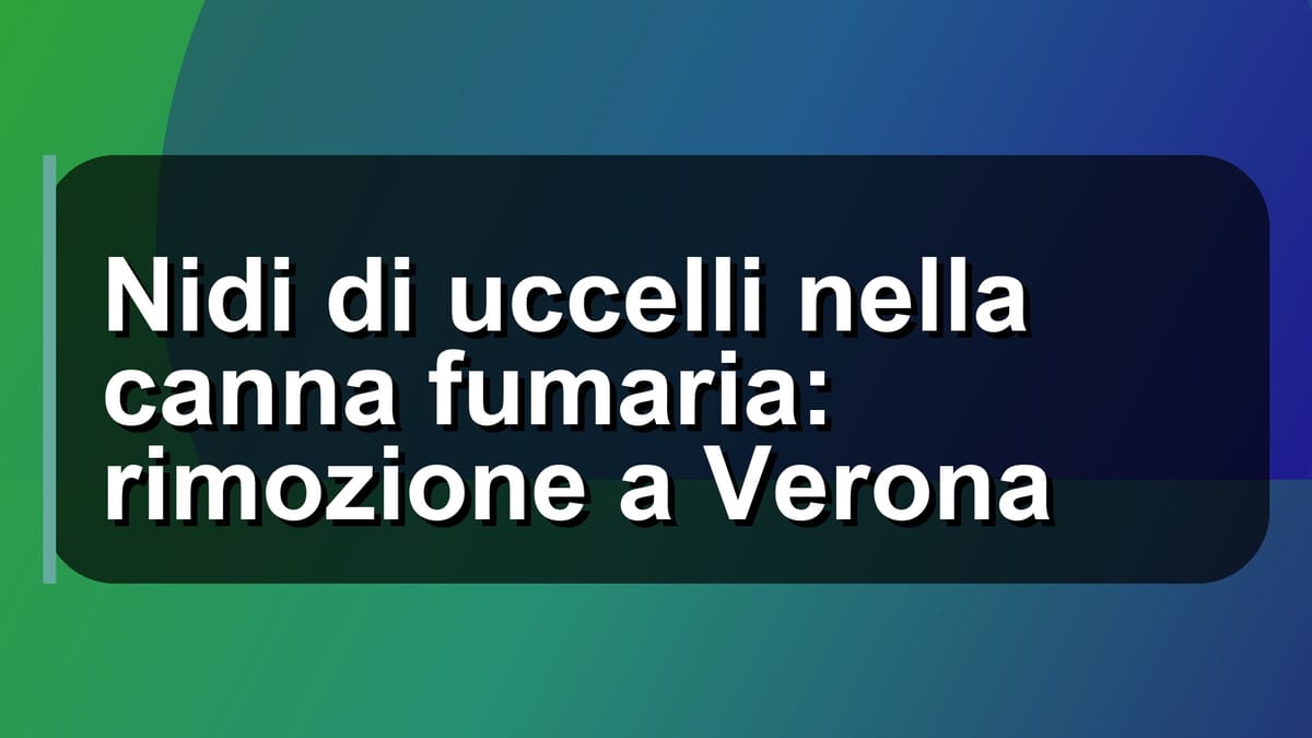 🪹 Nidi di uccelli nella canna fumaria: rimozione a Verona