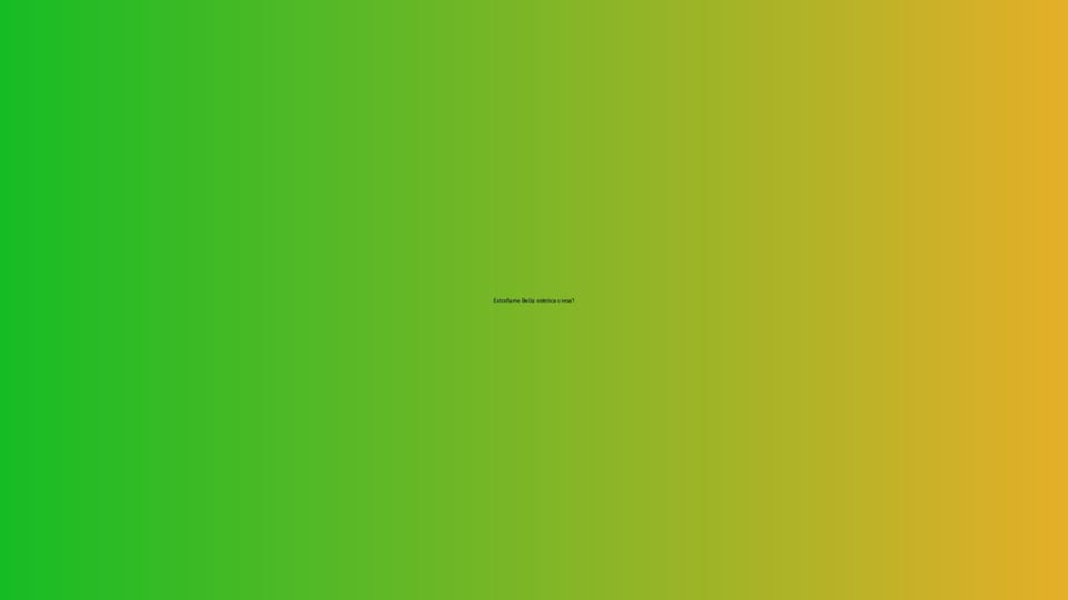 🔥 Extraflame Bella: estetica o resa?