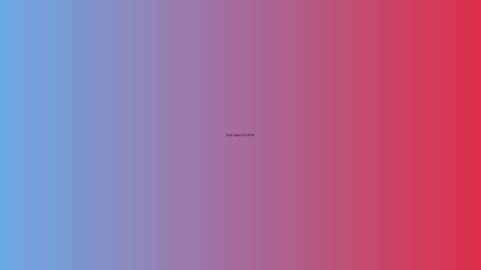 🔥 Stufa Ungaro: 24 o 30 kW