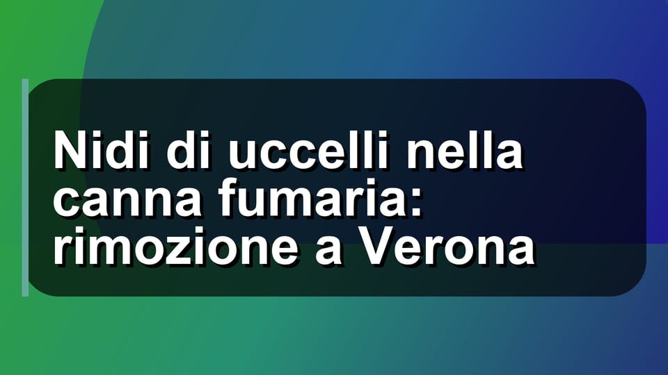 🪹 Nidi di uccelli nella canna fumaria: rimozione a Verona